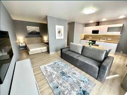 1-комнатная квартира в Кракове