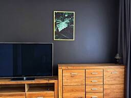 Od 13.03, Wysoki Standard, Rozkładowe, Pets Friendly