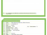 Работа на дому! Быстрый заработок! - photo 1