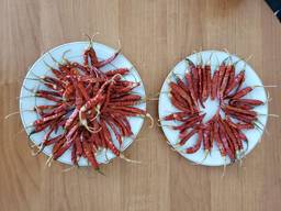 Acute dried peppers KAYAN Indian wholesale! Export from Uzbe