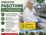 Актуальные вакансии - zdjęcie 6