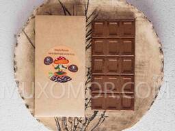 Grzybowa WEGAŃSKA czekolada. 100 g - 15 płytki po 1 g amanita/Мухоморный веган шоколад