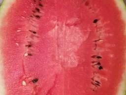 Арбузы сладкие