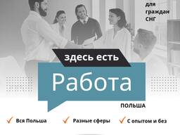 Бесплатный подбор вакансий в Польше