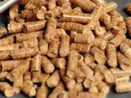 Biomass groundnut briquettes and groundnut pellets
