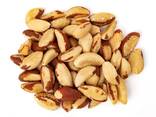 Brazil Nuts - zdjęcie 1