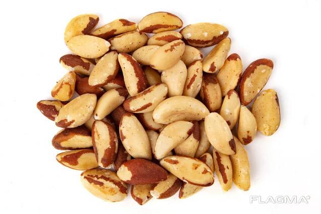 Brazil Nuts