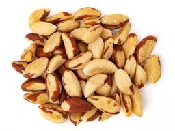 Brazil Nuts