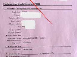 Быстрое получение PESEL UKR за минимальные сроки