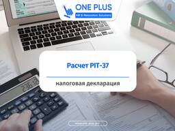 Быстрый и качественный расчет PIT-37