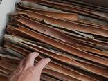 Cassia Stick / Powder from Vietnam - zdjęcie 2