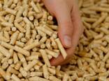 Cheap Wood Pellets 6mm EN Plus A1 Class Pellet Abete in 15kg Bags Wood Pellets Price - zdjęcie 3