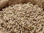 Cheap Wood Pellets 6mm EN Plus A1 Class Pellet Abete in 15kg Bags Wood Pellets Price - zdjęcie 11
