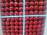 Черешня - фото 3
