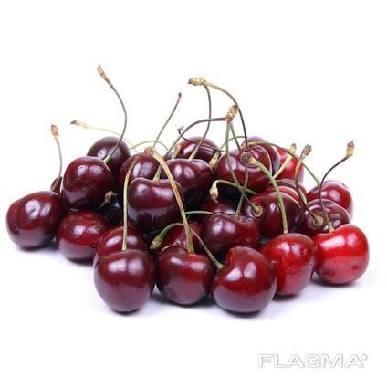 Черешня сорт бычий глаз из Узбекистана