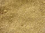 DDGS / Ziarno Bardy (kukurydza) / Bard grain - 100% corn / Барда зернова (100% кукуруза) - photo 1