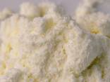 Dried Skimmed Milk Powder A Grade Premium Quality - фото 2