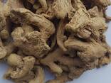 Dry Whole Ginger from Vietnam - zdjęcie 2
