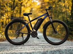 Duotts C29 Electric Bike Rental / Purchase — Warsaw