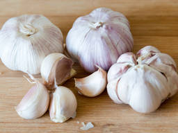 Fresh Garlic for sale .
