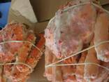 Fresh King Crab Available /King Crab, Red Frozen King Crab, Live Norwegian dungeness crabs - zdjęcie 1