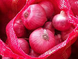 Fresh Red white and yellow Onion to be supplied . - zdjęcie 3