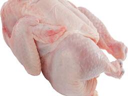 Top Quality Frozen Whole Chicken