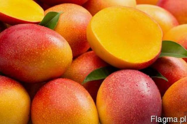 Фрукты из Европы логистические решения Манго