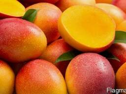 Фрукты из Европы логистические решения Манго