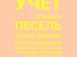 Гданськ прописка песель