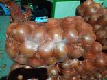 Golden onions from Kazakhstan - фото 3