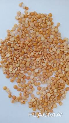 Гороховая Крупа