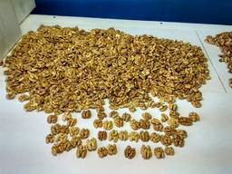 Грецкий орех Walnut Orzech 2019