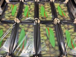 Груша "Conference"