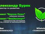 Хлеб с пророщенной пшеницы без дрожжей и муки - фото 2