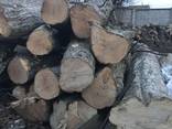 Holzkohle / Charcoal / Древесный уголь — Купить в Варшаве на Flagma.pl ...