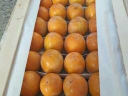 Хурма Узбекистан