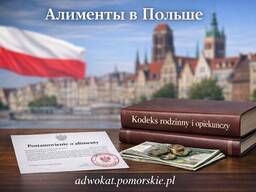 Иск о взыскании алиментов Pozew o alimenty - надежная подготовка онлайн