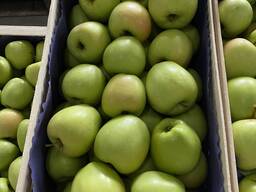 Яблоки Яблоко