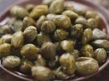 Capers from Uzbekistan - zdjęcie 2
