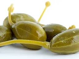 Capers from Uzbekistan