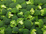 Broccoli cabbage from Uzbekistan - zdjęcie 2