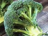 Broccoli cabbage from Uzbekistan - zdjęcie 1