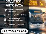 Код 95 бесплатно, гарантированое трудоустройство! - zdjęcie 1