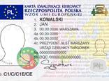 Курсы. КОД 95 / KOD 95 - zdjęcie 1