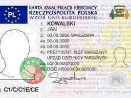 Курсы. КОД 95 / KOD 95