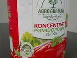 Koncentrat Pomidorowy 28-30 brix - фото 1