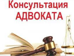 Консультация адвоката в Польше