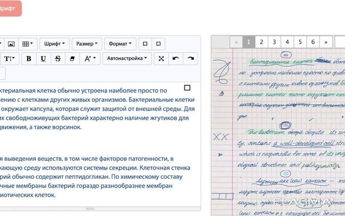 Копирайтинг, перевод текстов