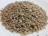 Крупа овсяная цельнозерновая - фото 4